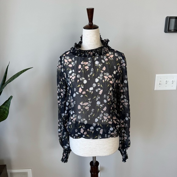 Zara Basics Sheer Floral Ruffle Neck Blouse - Smock Waist and Cuffs - Picture 7 of 9